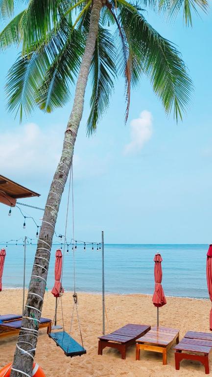 Southern Island Hopping