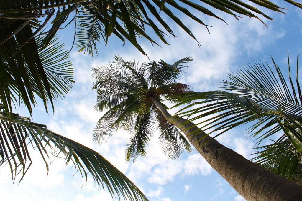 Phu Quoc National Park Trek