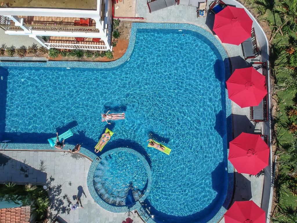 Saltwater pool ringed by palms, seen from above